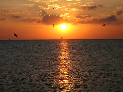 Fotos Sonnenuntergang | Naples